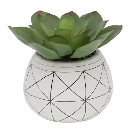 Flora Bunda&reg; 6.5" Succulent In Gold Geo Hand Painted Ceramic Planter {1}