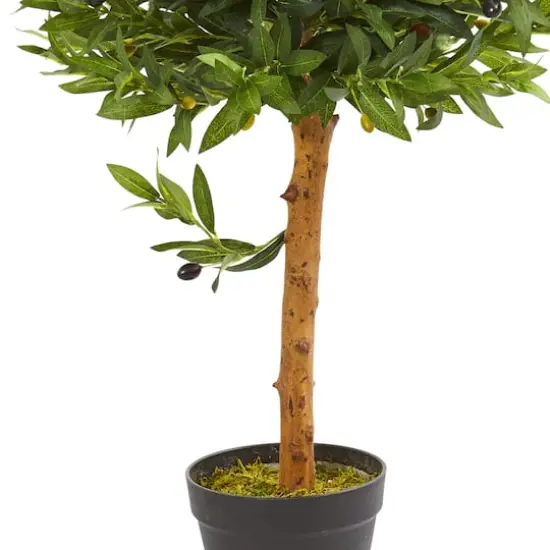 3ft. Potted Olive Topiary Tree {4}
