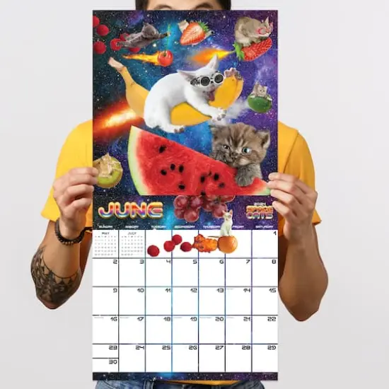 TF Publishing 2024 Space Cats Wall Calendar {6}