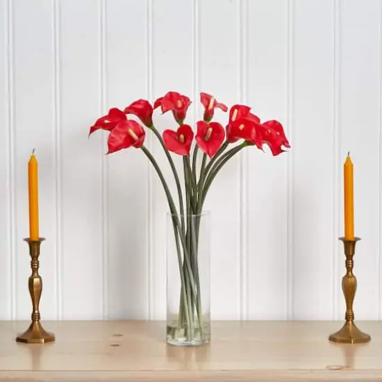 20" Mini Calla Lily Arrangement in Tall Vase, Red {5}