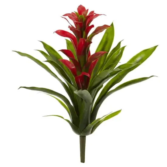 Red Bromeliad Flower, 4ct. {1}