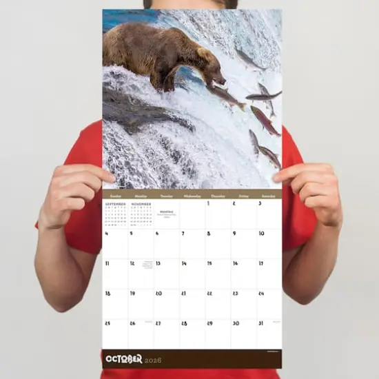 2026 Wild Wall Calendar {5}