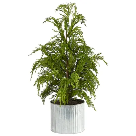 20" Unlit Cedar Pine Artificial Potted Christmas Tree {1}