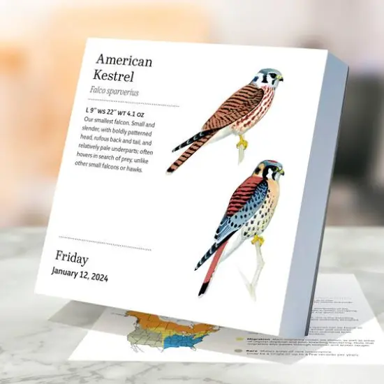 TF Publishing 2024 Birds: Backyard & Beyond Daily Desktop Calendar {4}