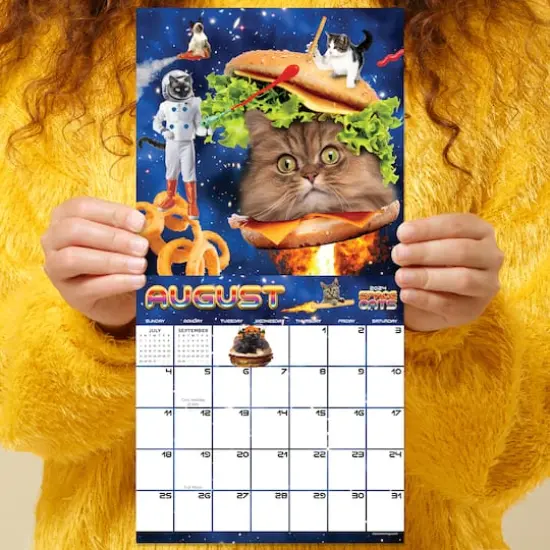 TF Publishing 2024 Space Cats Mini Calendar {6}
