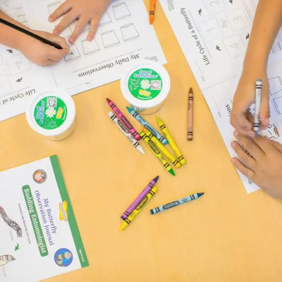 Insect Lore Butterfly Farm&reg; {5}