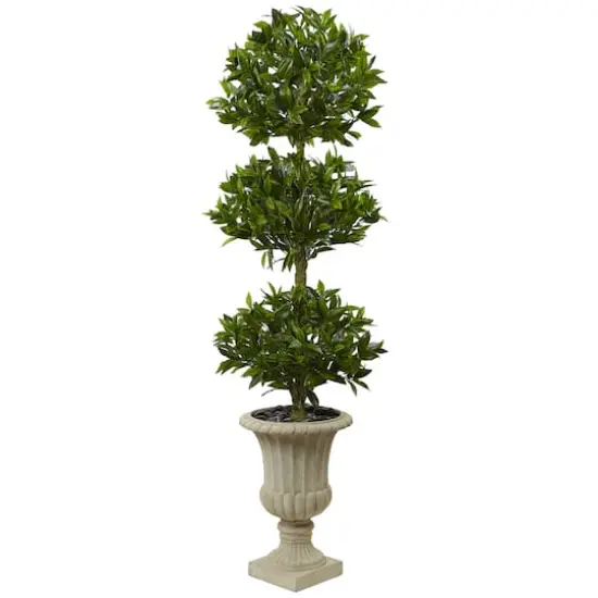 5.5ft. Triple Bay Leaf Topiary Tree in Urn {1}