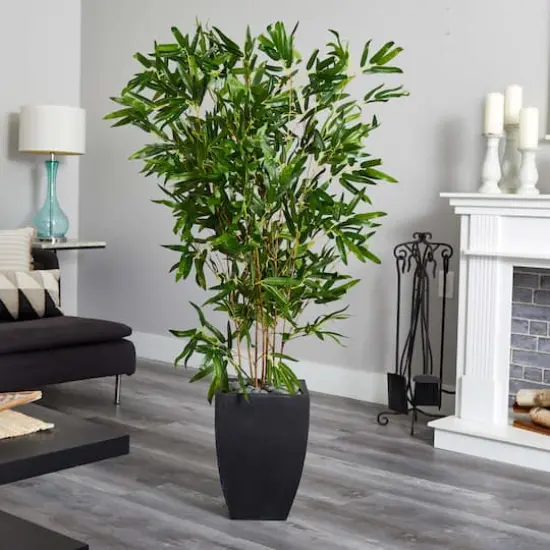 5ft. Bamboo Tree in Black Planter {5}