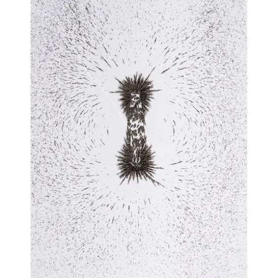 Dowling Magnets&reg; Iron Filings, 3 Jars of 12oz. {5}