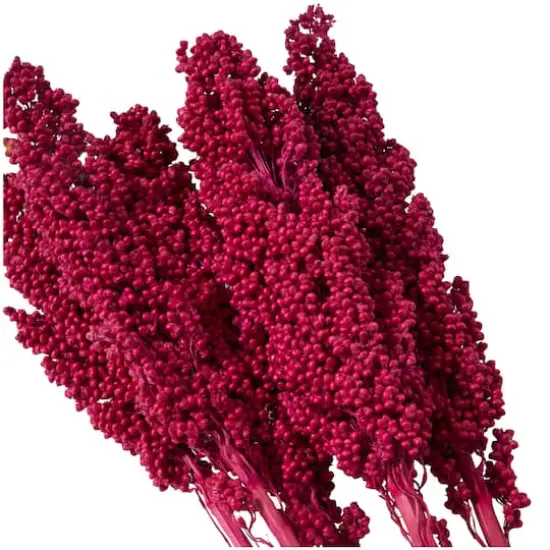 Dried Corn Maize Natural Foliage with Long Stems Pink {3}