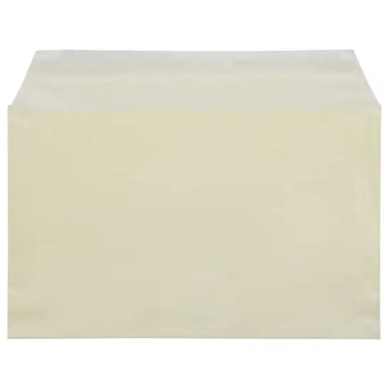 JAM Paper 5.43" X 8.62" Self Adhesive Closure Cello Sleeves, 100ct. Yellow {5}