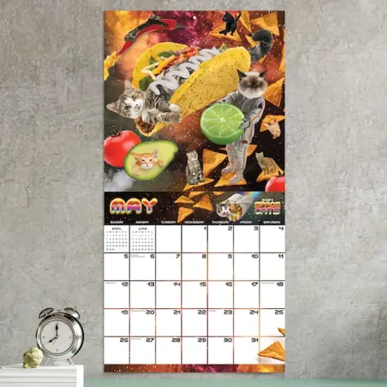 TF Publishing 2024 Space Cats Wall Calendar {5}