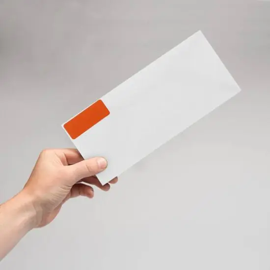 JAM Paper Standard Mailing Return Address Labels Orange {7}