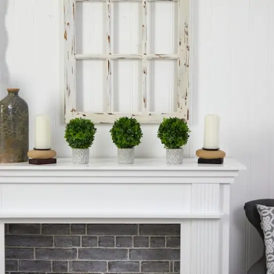 9" Potted Boxwood Mini Topiary, 3ct. {7}