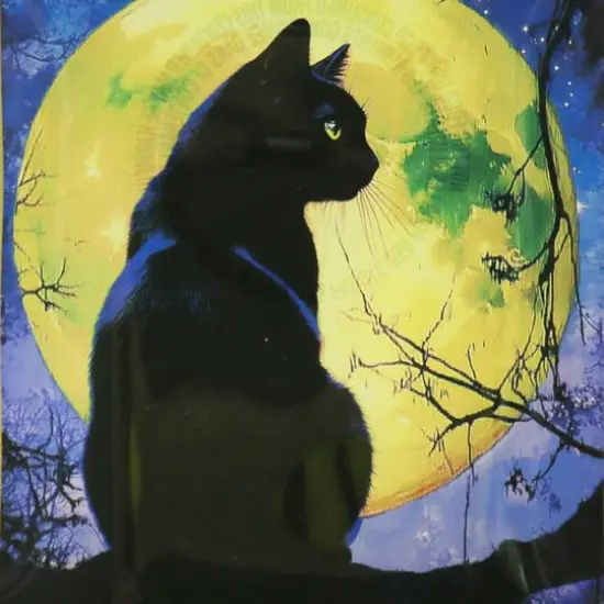 4" x 6" Black Cat Glass Plate by Ashland&reg; {3}