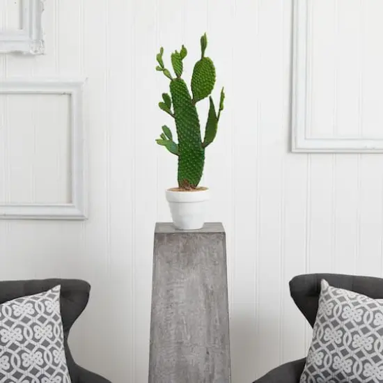 2ft. Cactus Plant in White Planter {3}