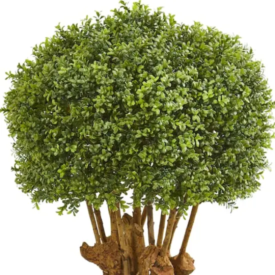 3.2ft. Boxwood Topiary Tree in Decorative Bowl {3}