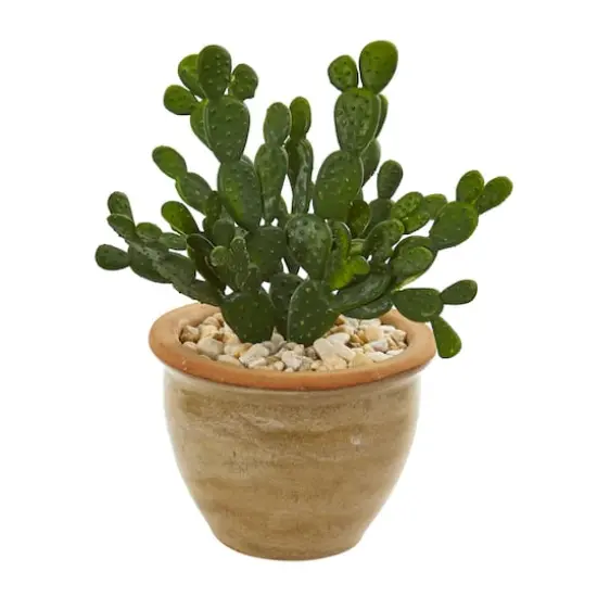 11" Cactus Succulent in Ceramic Vase Set {3}