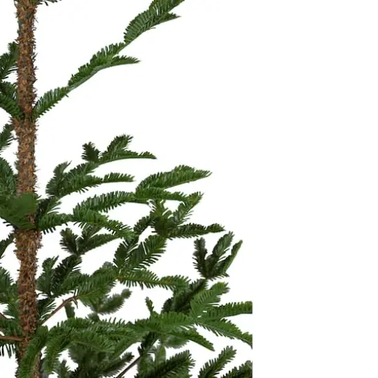 5ft. Unlit Ponderosa Pine Artificial Christmas Tree in Jute Base {5}