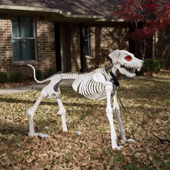 5ft. Poseable Dog Skeleton by Ashland&reg; {5}