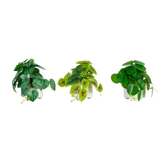 8" Mixed Greenery in Ceramic Planters Set {1}