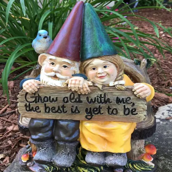 Santa's Workshop 11" Grow Old With Me Gnome Accent {3}