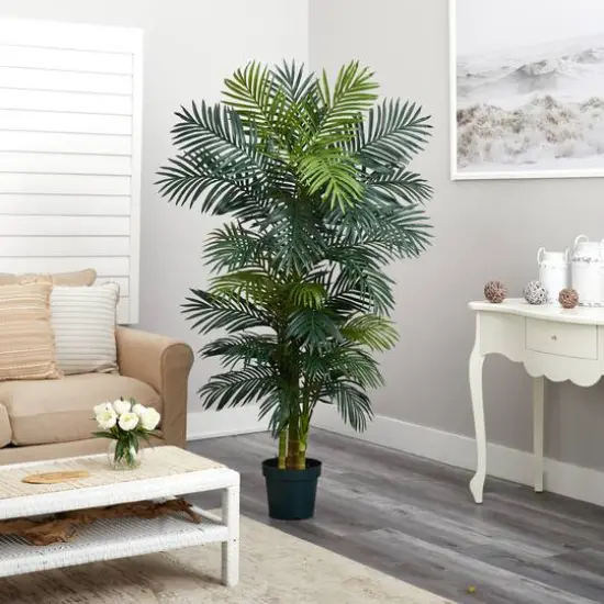 6.5ft. Potted Golden Cane Palm Tree {8}