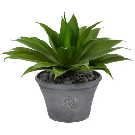 22" Agave Succulent Plant in Gray Planter {1}