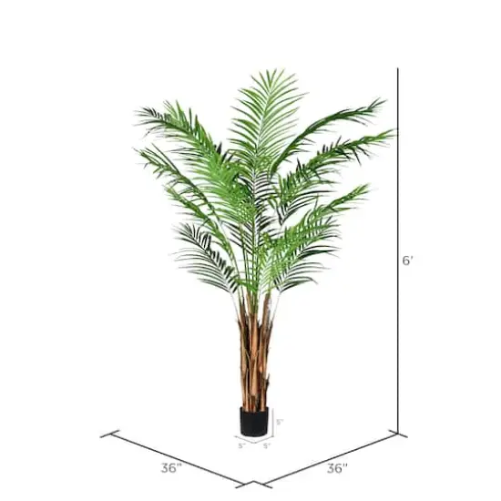 6ft. Potted Giant Areca Palm Tree {5}