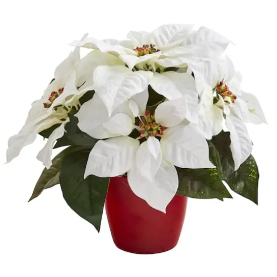 12" Potted White Poinsettia Set {4}