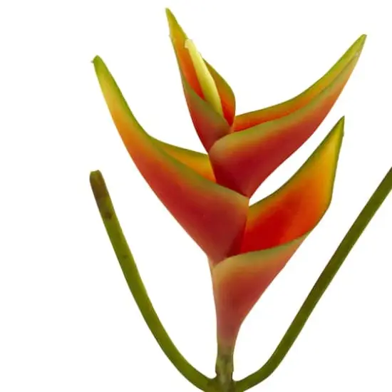 14" Mini Heliconia Artificial Flower (Set of 6) {4}