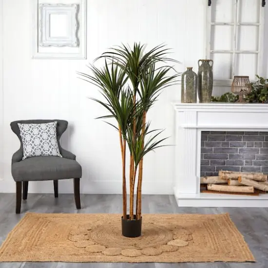 5.5ft. Giant Potted Yucca Tree {4}