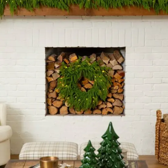 20in. Pre-Lit Artificial Real Touch Norfolk Island Pine Wreath with 35 Warm White LED Lights and Natural Look {10}