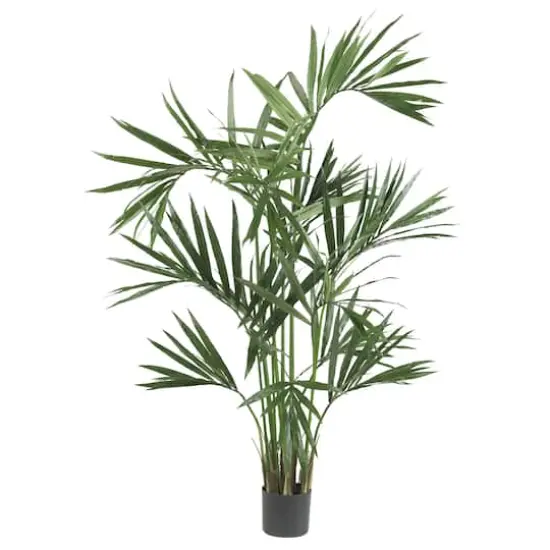 6ft. Potted Single-Trunk Kentia Palm Silk Tree {1}