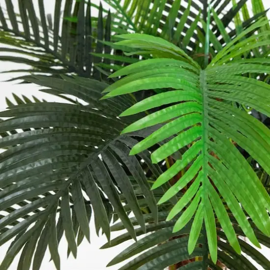 8ft. Potted Coconut Palm Tree {4}