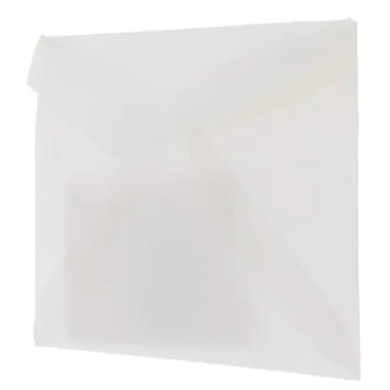 JAM Paper 2.313" x 3.625" Translucent Vellum Envelopes, 25ct. Platinum Silver {4}