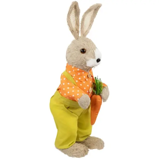16" Orange & Green Standing Boy Rabbit with Carrot Easter Figure {5}