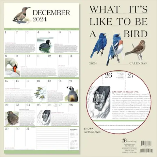 TF Publishing 2024 What It's Like To Be A Bird Wall Calendar {3}