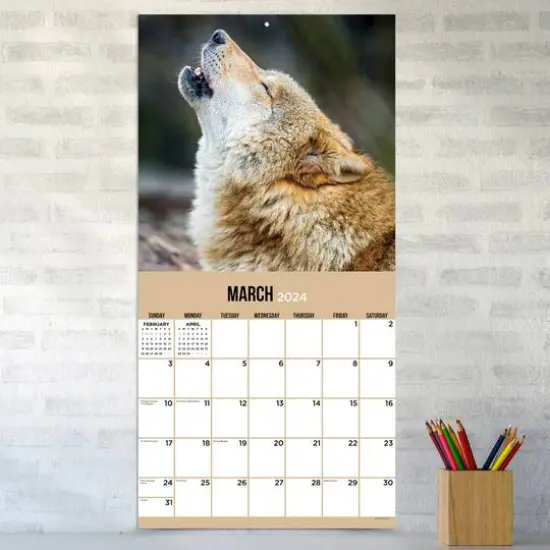 TF Publishing 2024 Wolves Wall Calendar {5}