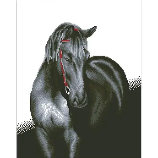 Diamond Dotz&reg; Intermediate Midnight Stallion Diamond Painting Kit {3}