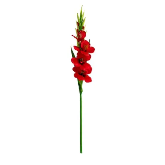 45" Red Gladiolus Flower Stems, 3ct. {1}