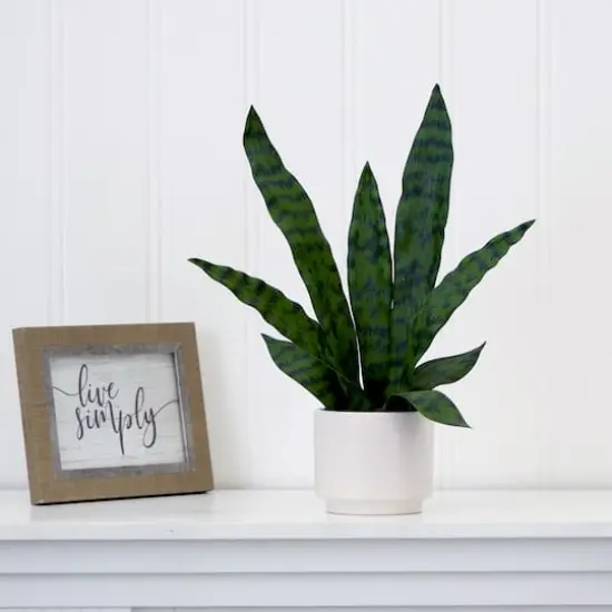 16" Artificial Sansevieria Snake Plant with Decorative Planter  {5}