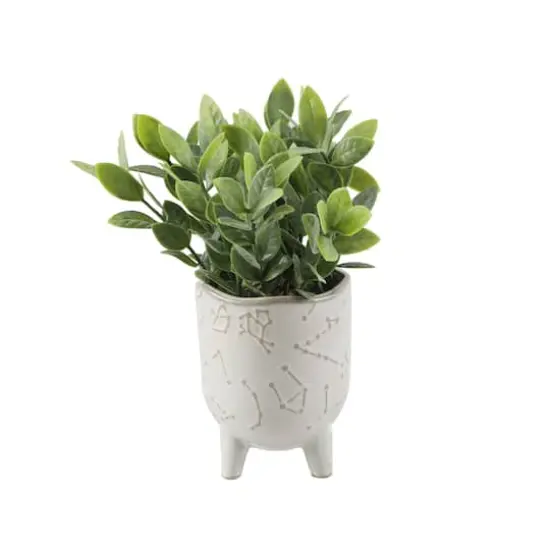 Flora Bunda&reg; Tea Leaf In 3" Ivory Constellation Footed Set {1}