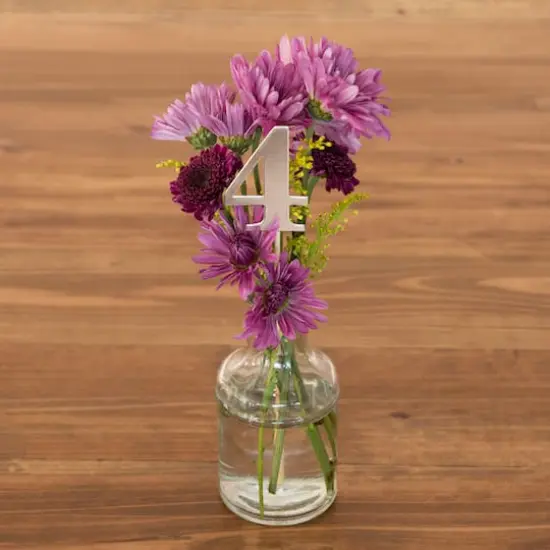 1-12 Silver Table Numbers by Celebrate It&trade; {5}