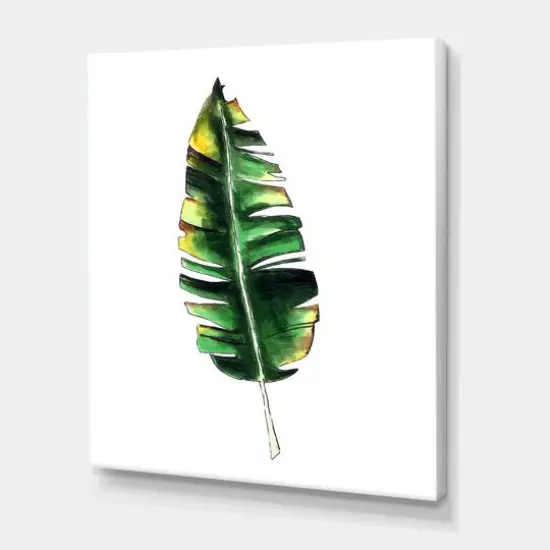 Designart - Single Banana Leaf - Bohemian & Eclectic Canvas Wall Art Print {1}