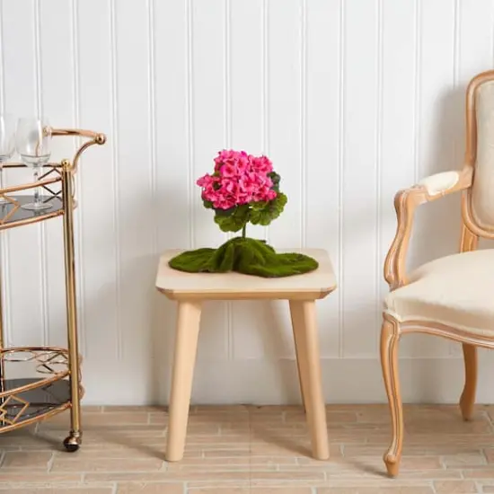 Pink Geranium Bush, 4ct.  {5}