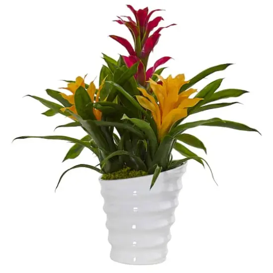 17" Tropical Bromeliad Plant in White Swirl Vase {4}