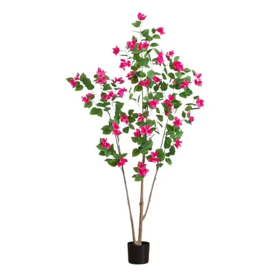 6ft. Potted Pink Minimalist Bougainvillea Tree {1}