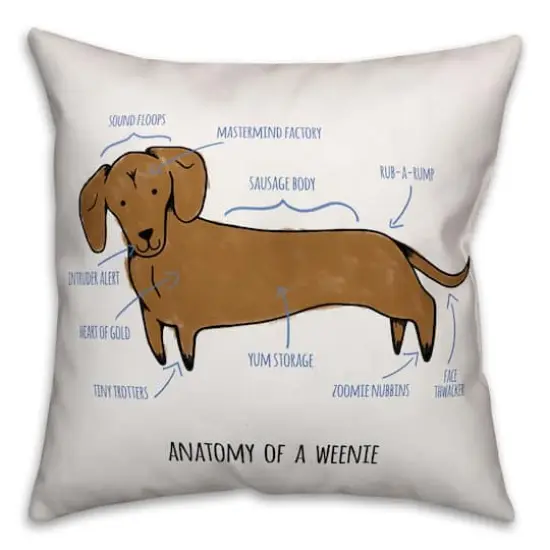 Dachshund Anatomy Throw Pillow {1}