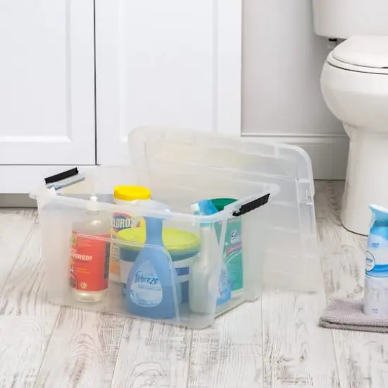 IRIS&reg; 32qt. Buckled Clear Boxes with Clear Buckle Lids, 4ct. {14}